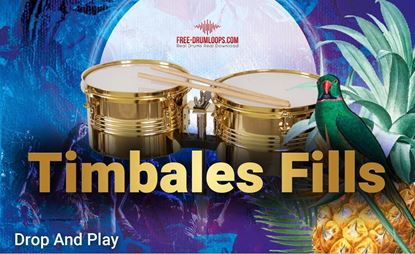 Free Drum Loops. Timbales fills in 140 bpm