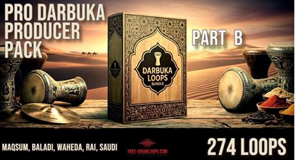 Picture of Pro Darbuka Producer Pack (PART B)